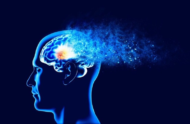 با این تغذیه مانع ابتلا به آلزایمر شوید
