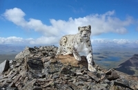 برندگان یازدهمین مسابقه عکاسی انجمن جغرافیای روسیه (1)