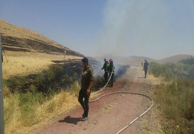 ۳ هکتار از مزارع کشاورزی مهاباد طعمه‌حریق شد