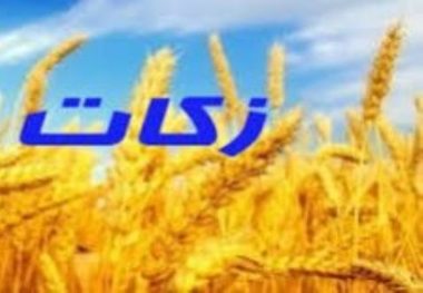 ضرورت تلاش برای نهادینه کردن زکات از بعد معرفتی و تحقیقاتی