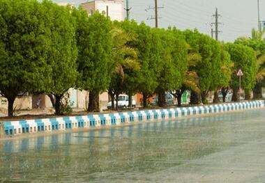 میزان بارش دشتی به 226 میلی متر رسید