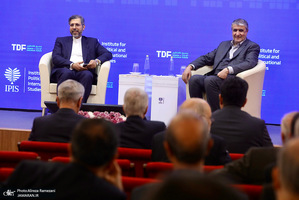 نشست های اجلاس بین المللی تحت تهاجم ؛ تجاوز و دفاع