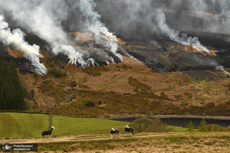  منتخب تصاویر امروز جهان- 8 اردیبهشت 1400 