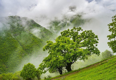 بارندگی در پیرانشهر 1.3 برابر سال گذشته شد