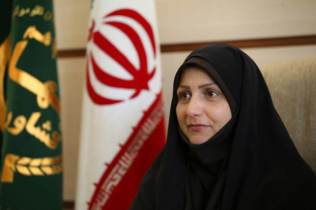 50 صندوق خرد زنان روستایی در قزوین تشکیل شده است