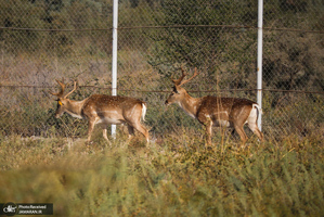 منتخب تصاویر امروز جهان - 18 آبان 1401