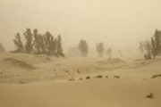 فاجعه در بخش کشاورزی سیستان و بلوچستان