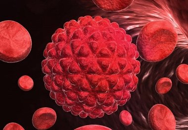 مقابله با سرطان های ریه و پانکراس با کمک داروهای جدید