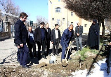 ایرنا آخرین نهال هفته درختکاری همدان را در دل خود جای داد