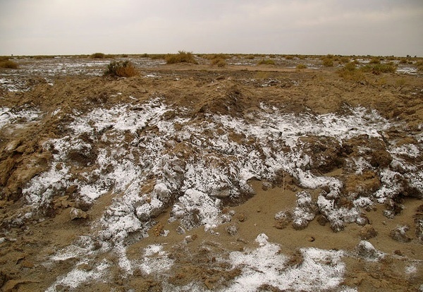 دلیل خشکی تالاب هامون ایجاد سدهای انحرافی در افغانستان است
