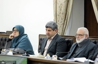 جلسه کمیته هماهنگی و نظارت بر اجرای قانون حمایت از حقوق افراد دارای معلولیت (3)