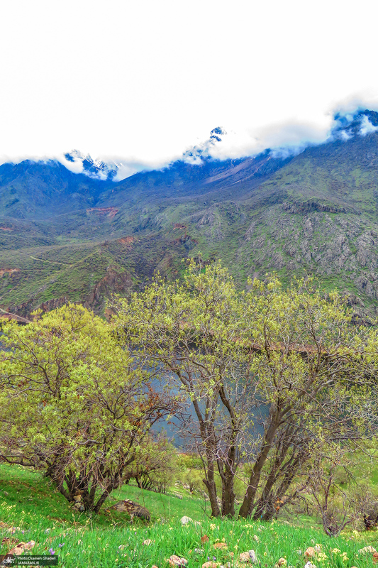 روستای هجیج؛ ماسوله سنگی کرمانشاه‎‎