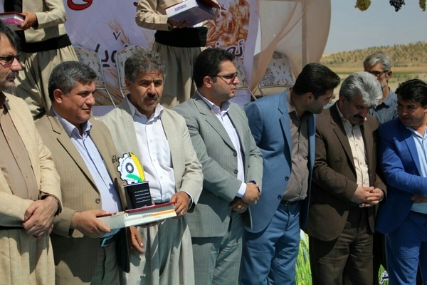 جشن خرمانان در شهرستان سقز برگزار شد