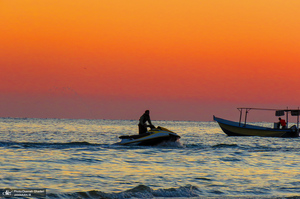 پارک زیتون قشم