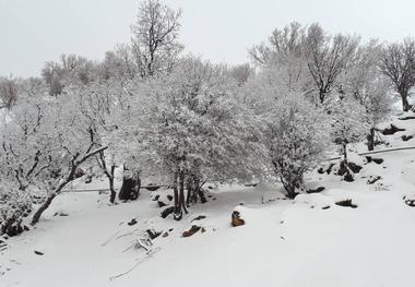 تردد در برخی محورهای دهدز تنها با زنجیر چرخ امکان پذیر است