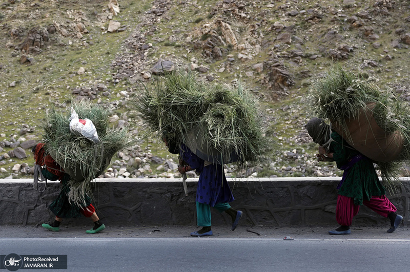 منتخب تصاویر امروز جهان- 2 اردیبهشت 1400