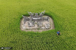 منتخب تصاویر امروز جهان - 2 خرداد 1401