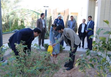 مسوولان اردکان، درخت کاشتند