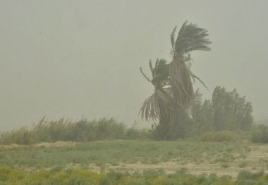 وزش باد و گرد و غبار بر خوزستان حاکم می شود