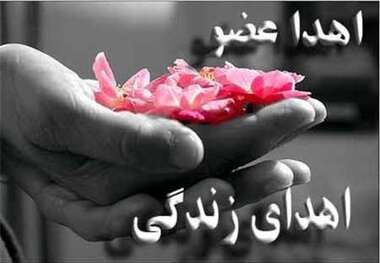 اهدای اعضای مادر 34 ساله میبدی جان سه بیمار را نجات داد