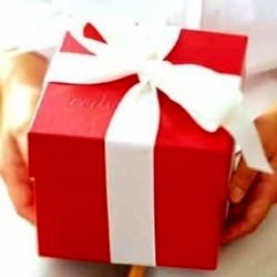 اهدای عضو زن ایذه‌ای به سه بیمار نیازمند