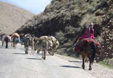 نشست هماهنگی کوچ قشلاقی عشایر  کرمانشاه ، همدان و لرستان در دهلران