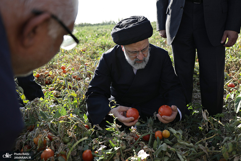 سید ابراهیم رئیسی