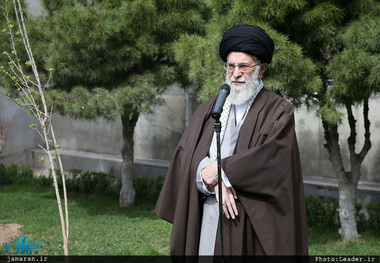 مسئولان باید مانع از بین رفتن درختان موجود در شهرها شوند