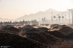 شوق شیرین تولید شکر / کارگران تولید قند و شکر