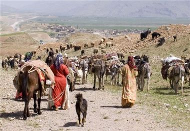 3500 خانوار عشایر کرد و ترکمن در مراتع گلستان مستقر شدند