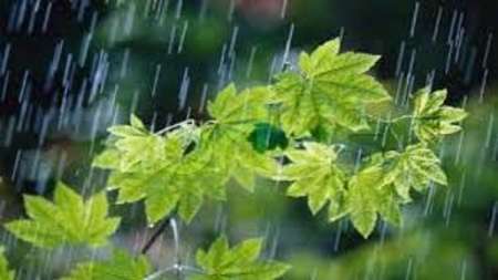 کاهش 19درصدی بارش ها درالبرز حرکت به سمت خشکسالی متوسط