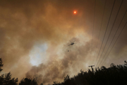 افزایش تلفات آتش سوزی مهیب جنگل ها در ترکیه+تصاویر