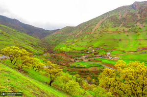 طبیعت زیبای نوسود