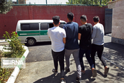 اعضای باند حرفه‌ای سرقت در جیرفت دستگیر شدند