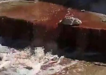 تخلیه فضولات کشتارگاه مرغ، آب یک رودخانه را درمراوه تپه آلوده کرد
