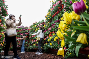 منتخب تصاویر امروز جهان - 2 اسفند 1403