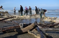 تورهای پاره، سهم صیادان از ماهیگیری پس از سیل در مازندران (8)