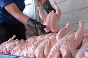 قیمت مرغ در بازار به 12 هزار تومان رسید/ چرایی افزایش قیمت