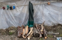 تورهای پاره، سهم صیادان از ماهیگیری پس از سیل در مازندران (4)