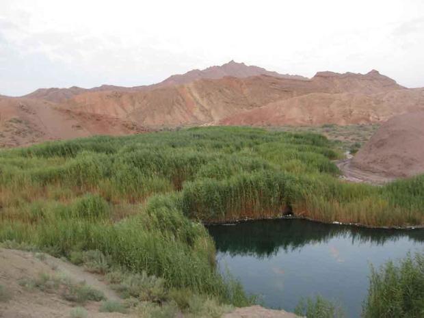 تلخاب چشمه ای سبز با آب تلخ در سرزمینی به رنگ سرخ