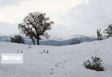 ارتفاع برف در کوهرنگ به ۱۲۵ سانتی‎متر رسید