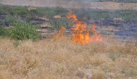 آتش سوزی محدود در پارک ملی گلستان