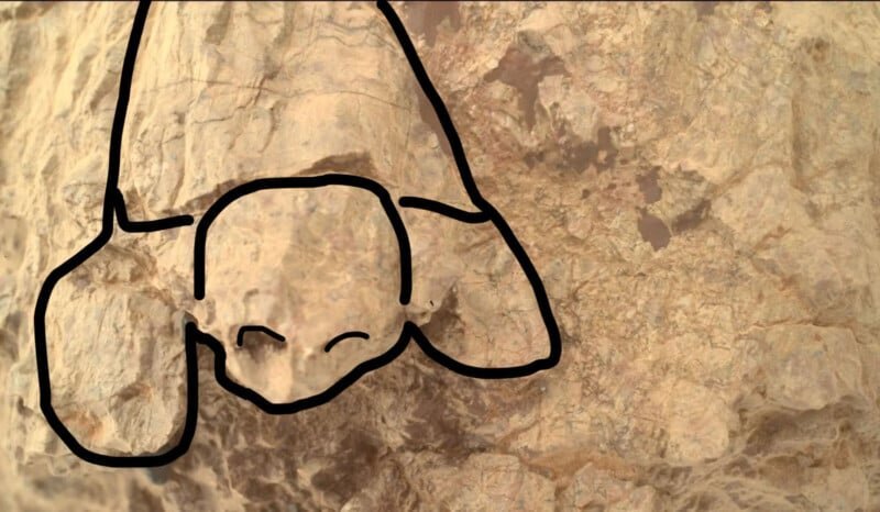 «لاک‌پشت» روی مریخ / کشف شگفت‌انگیز مریخ‌نورد ناسا در سیاره سرخ