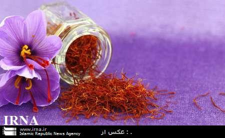 امحای بیش از 6 تن پیاز زعفران در تایباد