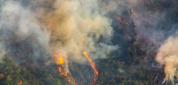 دشواری‌های اطفای آتش در جنگل‌های ارسباران