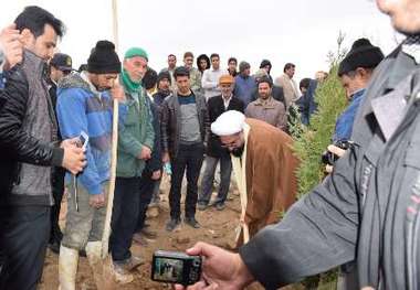 ورزشکاران از کاشت نهال در گود کشتی امام مرشد فاروج استقبال کردند