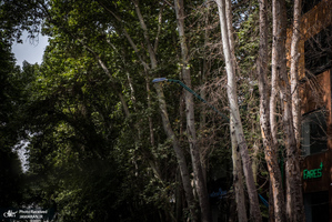 منتخب تصاویر امروز جهان - 23 مرداد 1401