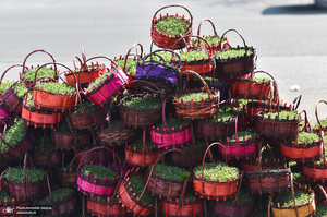 آخرین پنجشنبه سال در بهشت زهرا (س) تهران