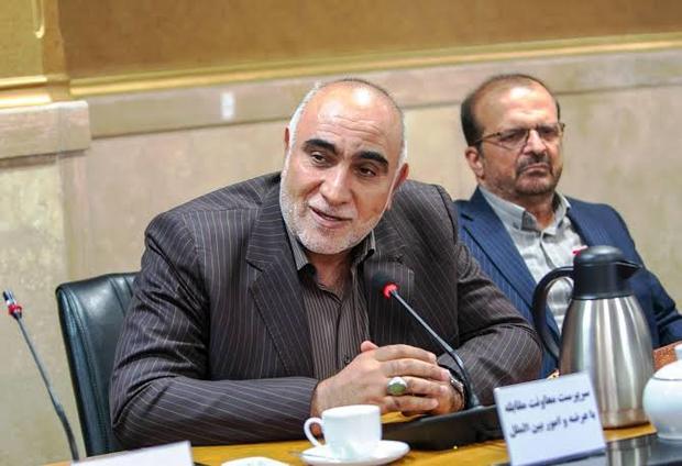 معاون ستاد مبارزه با مواد مخدر:هیچ مجوزی برای کشت گیاهان مخدر صادر نشده است