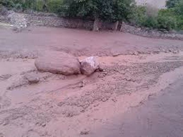 بخشدار : منطقه یزدان آباد زرند از سیل خسارت دید